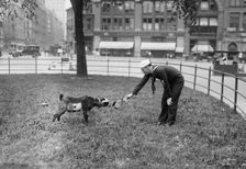 W.J. Reilly, 1917 or 1918. Creator: Bain News Service