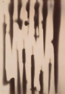 [X-Ray of a Box Compasses and Drawing Tools], 1896. Creator: Henri van Heurck
