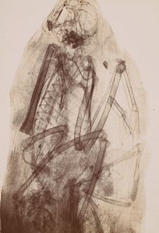 [X-Ray of the Mummy of a Raptor], 1896. Creator: Henri van Heurck