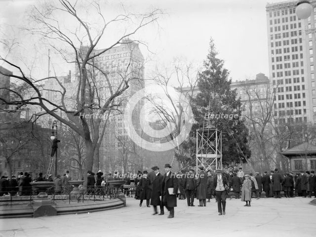 Xmas tree in Madison Sq. Park, N.Y.C., between c1910 and c1915. Creator: Bain News Service.