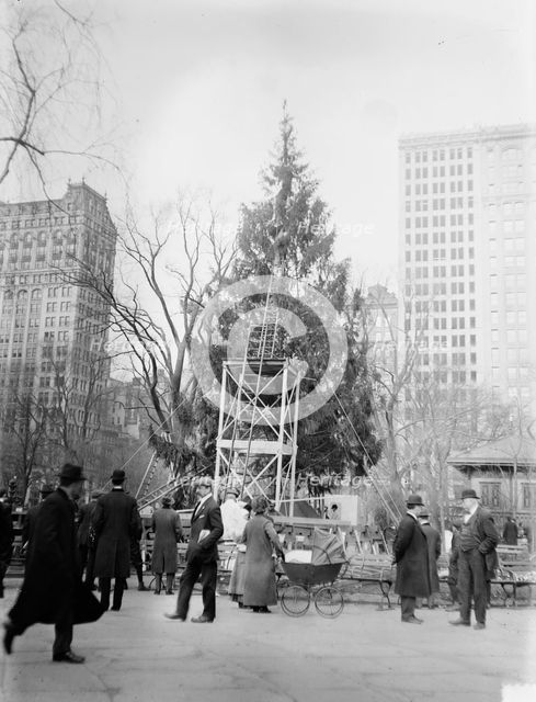 Xmas tree in Madison Sq. Park, N.Y.C., between c1910 and c1915. Creator: Bain News Service.
