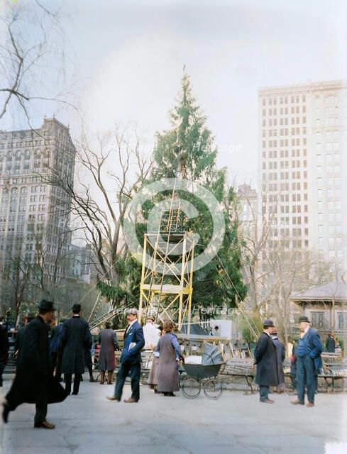 Xmas tree in Madison Sq. Park, N.Y.C., between c1910 and c1915. Creator: Bain News Service.