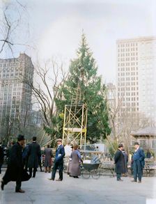 Xmas tree in Madison Sq. Park, N.Y.C., between c1910 and c1915. Creator: Bain News Service