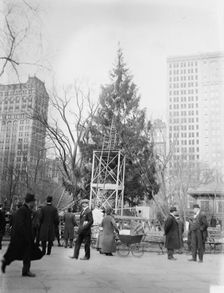 Xmas tree in Madison Sq. Park, N.Y.C., between c1910 and c1915. Creator: Bain News Service