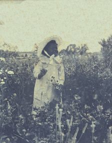 Young African-American(?) girl, wearing long dress and bonnet, standing in field holding..., c1900. Creator: Unknown