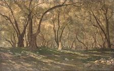 Young girl under the olive trees - Menton, c.1897. Creator: Henry Brokman