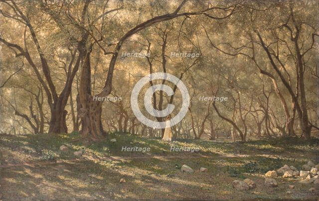 Young girl under the olive trees - Menton, c.1897. Creator: Henry Brokman.