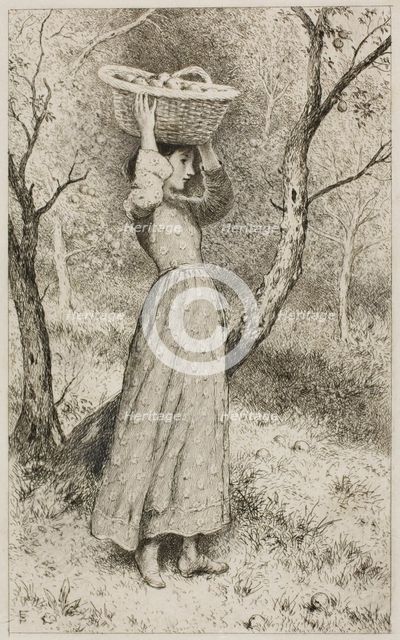 Young Girl in an Orchard with a Basket of Fruit, c.1850. Creator: Birket Foster.