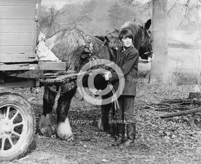 Young gypsy with a horse, 1960s.