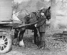Young gypsy with a horse, 1960s