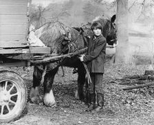 Young gypsy with a horse, 1960s