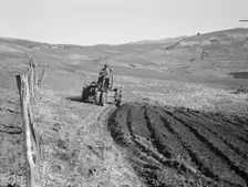 Young farmer, member of Ola self-help sawmill co-op, plowing..., Gem County, Idaho, 1939. Creator: Dorothea Lange