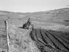 Young farmer, member of Ola self-help sawmill co-op, plowing..., Gem County, Idaho, 1939. Creator: Dorothea Lange