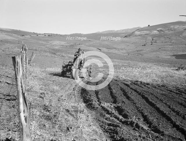 Young farmer, member of Ola self-help sawmill co-op, plowing..., Gem County, Idaho, 1939. Creator: Dorothea Lange.
