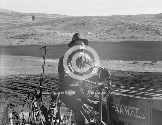 Young farmer, member of Ola self-help sawmill co-op, plowing..., Gem County, Idaho, 1939. Creator: Dorothea Lange.