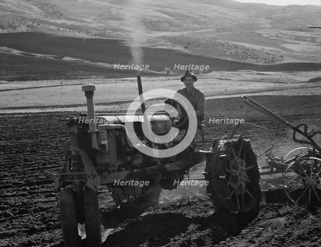 Young farmer, member of Ola self-help sawmill co-op, plowing..., Gem County, Idaho, 1939. Creator: Dorothea Lange.