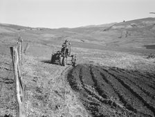 Young farmer, member of Ola self-help sawmill co-op, plowing..., Gem County, Idaho, 1939. Creator: Dorothea Lange