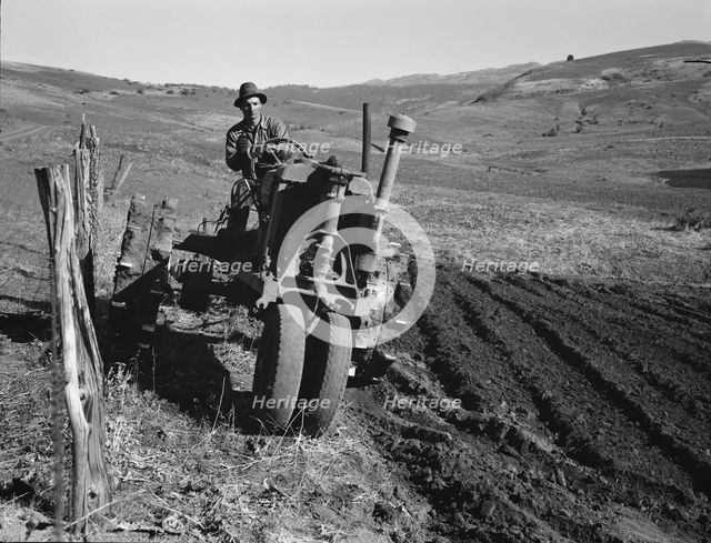 Young farmer plowing while other co-op members..., Ola self-help sawmill co-op, Gem County, 1939. Creator: Dorothea Lange.