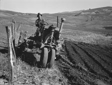 Young farmer plowing while other co-op members..., Ola self-help sawmill co-op, Gem County, 1939. Creator: Dorothea Lange