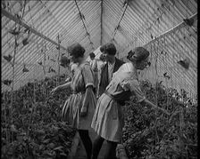 Young Female Civilians Working in a Greenhouse in a Horticultural Class, 1920. Creator: British Pathe Ltd