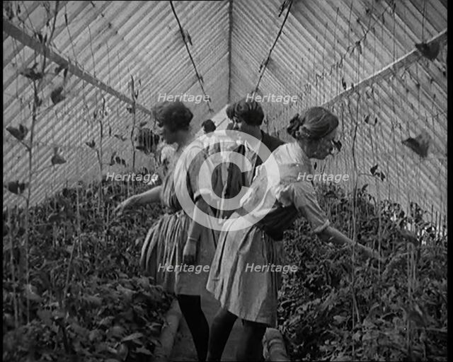 Young Female Civilians Working in a Greenhouse in a Horticultural Class, 1920. Creator: British Pathe Ltd.