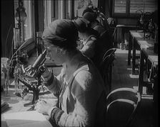 Young Female Civilians Sitting at Desks Looking Through Microscopes in a Science Class, 1920. Creator: British Pathe Ltd