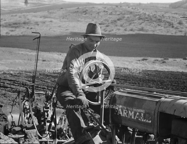 Young Idaho farmer plowing...Ola self-help sawmill co-op..., Gem County, Idaho, 1939. Creator: Dorothea Lange.