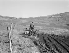 Young Idaho farmer plowing...Ola self-help sawmill co-op..., Gem County, Idaho, 1939. Creator: Dorothea Lange