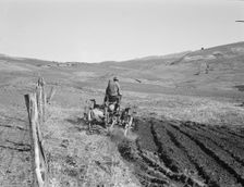 Young Idaho farmer plowing...Ola self-help sawmill co-op..., Gem County, Idaho, 1939. Creator: Dorothea Lange
