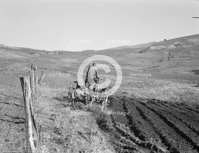 Young Idaho farmer plowing...Ola self-help sawmill co-op..., Gem County, Idaho, 1939. Creator: Dorothea Lange.