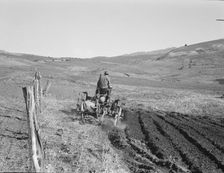Young Idaho farmer plowing...Ola self-help sawmill co-op..., Gem County, Idaho, 1939. Creator: Dorothea Lange