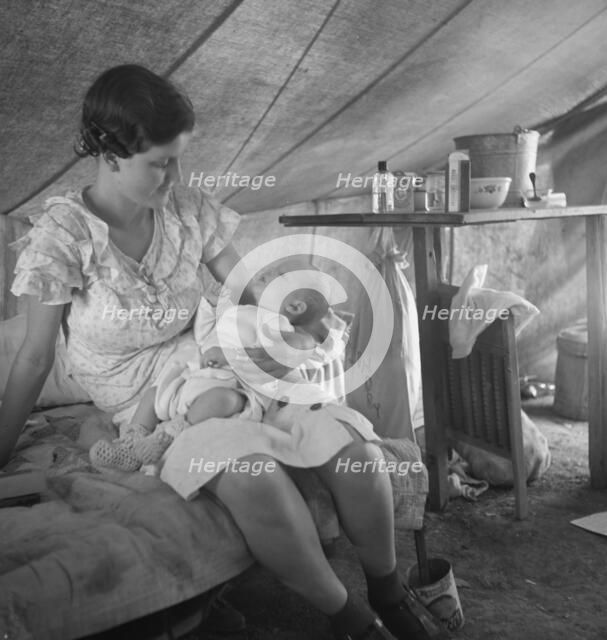Young migrant mother with six weeks old baby born in a hospital with aid..., near Westley, CA, 1939. Creator: Dorothea Lange.