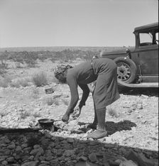 Young Negro wife cooking breakfast, outskirts of El Paso, Texas, 1938. Creator: Dorothea Lange