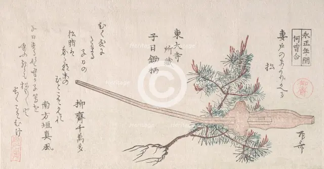 Young Pine Tree and the Handle of a Plow, 19th century., 19th century. Creator: Shinsai.