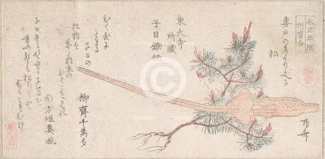 Young Pine Tree and Handle of a Plow, 19th century., 19th century. Creator: Shinsai.