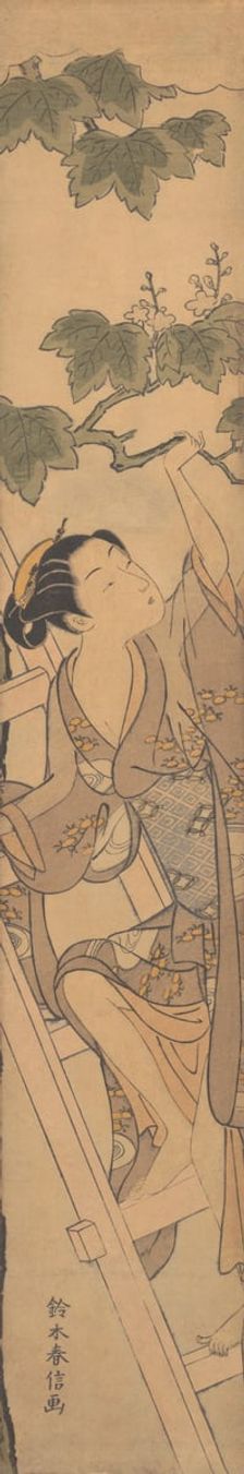 Young Woman Climbing a Ladder, ca. 1768., ca. 1768. Creator: Suzuki Harunobu
