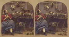Young woman seated by table with dead fowl, rabbits, etc., about 1860. Creator: Unknown