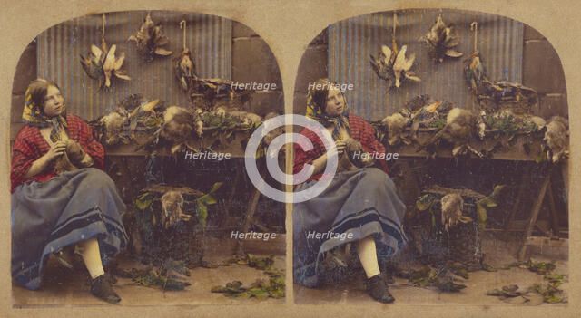 Young woman seated by table with dead fowl, rabbits, etc., about 1860. Creator: Unknown.