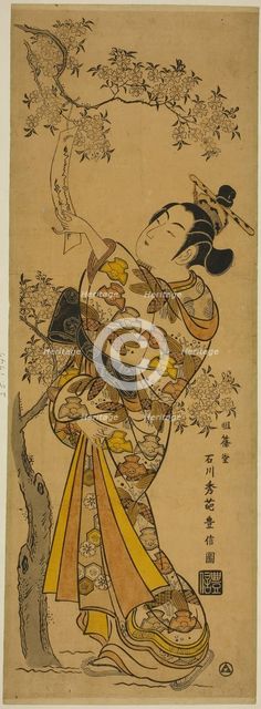 Young Woman Reading Tanzaku Tied to a Cherry Tree, c. 1741. Creator: Ishikawa Toyonobu.