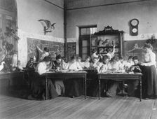 Young women in Washington, D.C. Normal School classroom studying birds, (1899?). Creator: Frances Benjamin Johnston