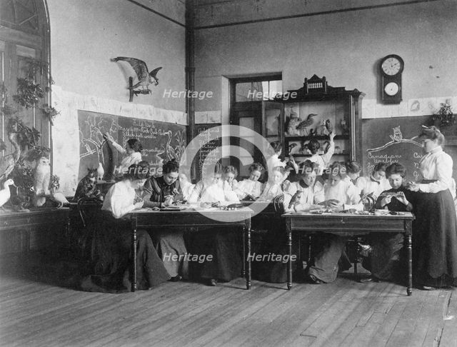 Young women in Washington, D.C. Normal School classroom studying birds, (1899?). Creator: Frances Benjamin Johnston.