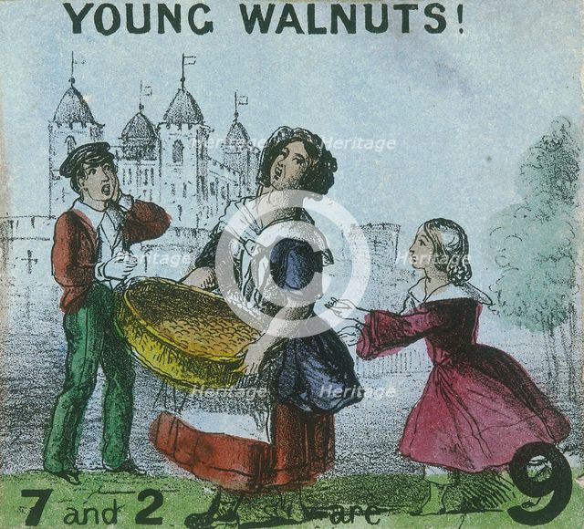 'Young Walnuts!', Cries of London, c1840. Artist: TH Jones
