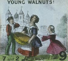 Young Walnuts! Cries of London, c1840. Artist: TH Jones