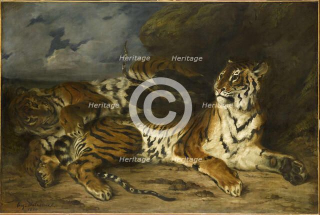 Young Tiger Playing with Its Mother, 1830. Creator: Delacroix, Eugène (1798-1863).