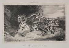 Young Tiger Playing with its Mother, 1831. Creator: Eugène Delacroix (French, 1798-1863)