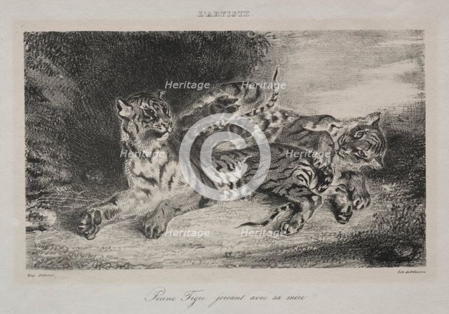 Young Tiger Playing with its Mother, 1831. Creator: Eugène Delacroix (French, 1798-1863).