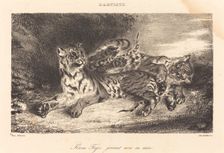 Young Tiger Playing with its Mother (Jeune tigre jouant avec sa mère), 1831. Creator: Eugene Delacroix