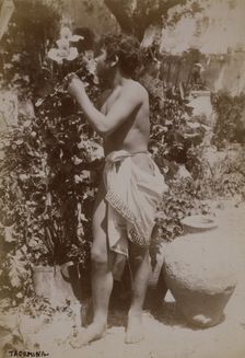Youth dressed in ancient Greek or Roman costume, Taormina, Sicily, c1890s. Creator: Count Wilhelm von Gloeden