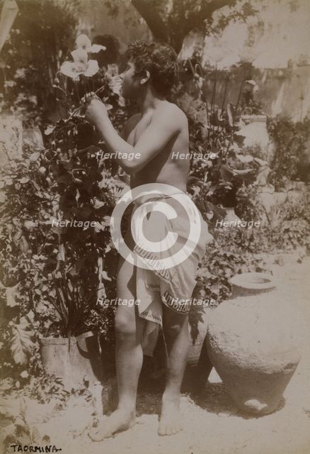 Youth dressed in ancient Greek or Roman costume,  Taormina, Sicily, c1890s. Creator: Count Wilhelm von Gloeden.