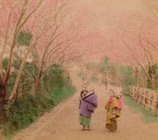Youthful Mothers of Japan 1896